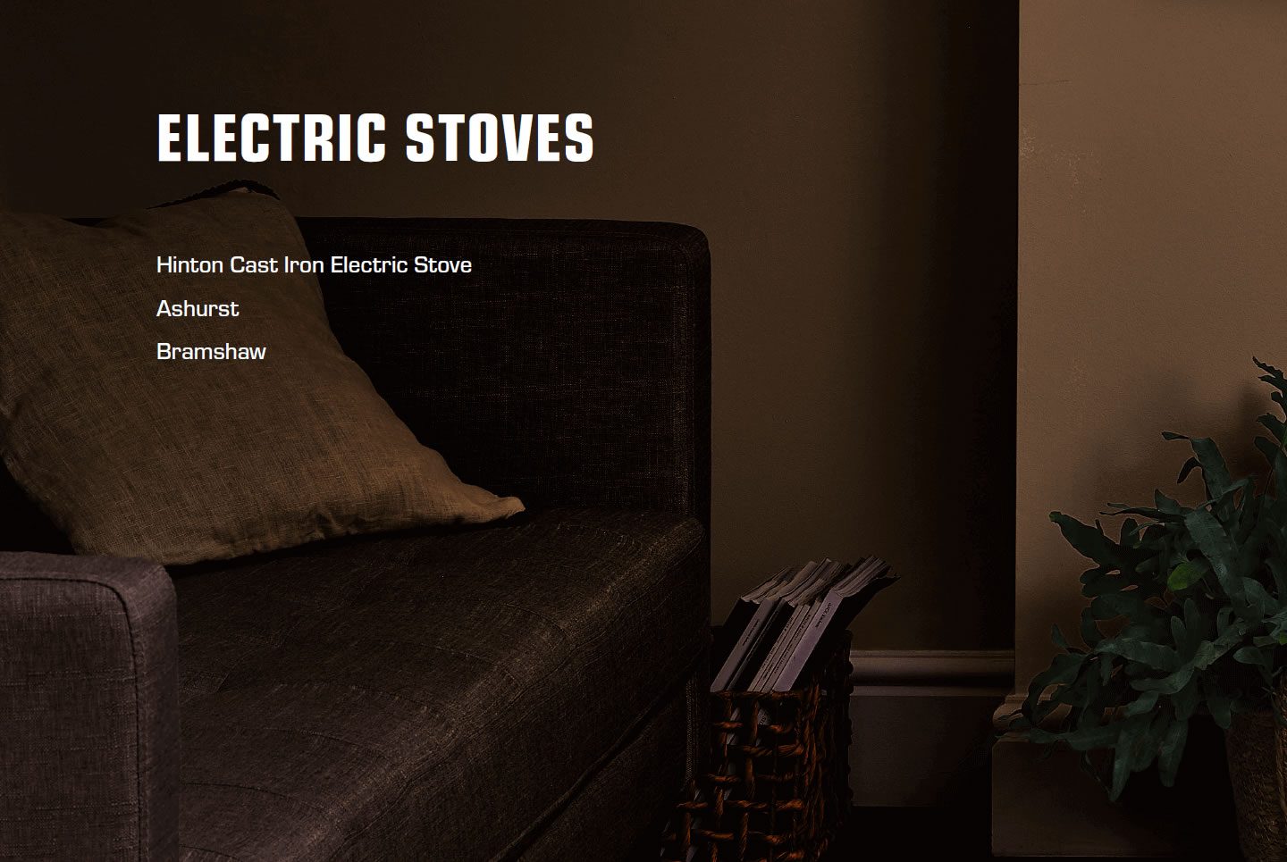 Electric Stoves with a sofa and decorative plant.